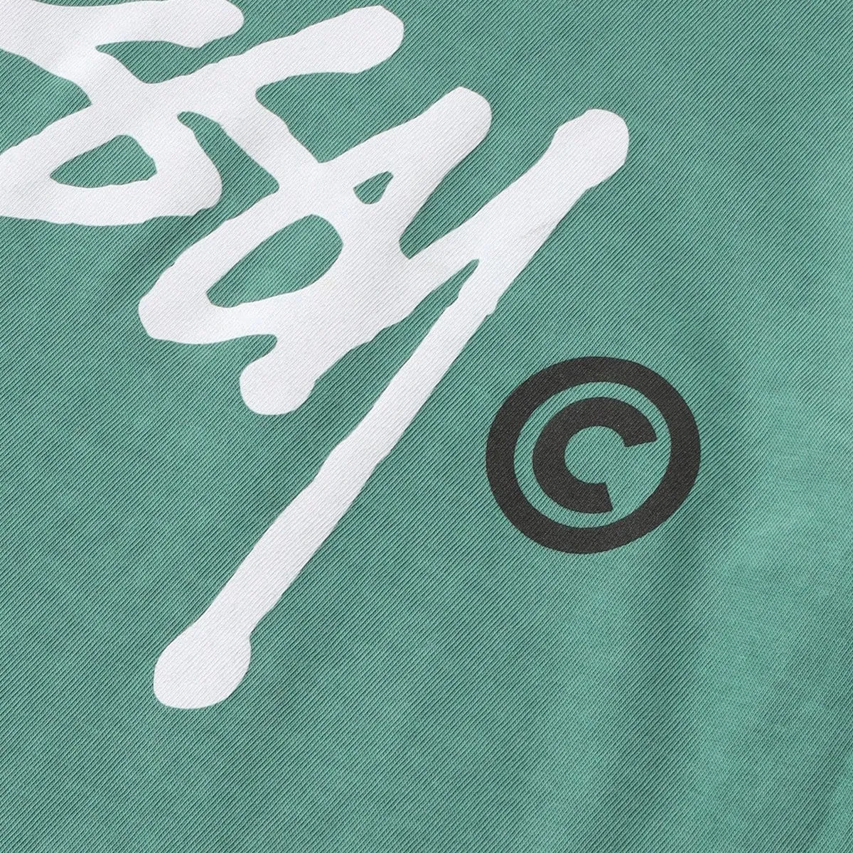 BASIC LOGO PIG. DYED TEE
